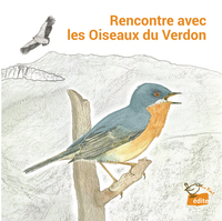 Rencontre avec les Oiseaux du Verdon