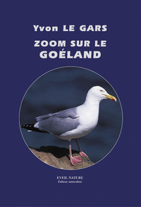 ZOOM SUR LE GOELAND