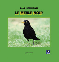 Le Merle noir