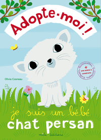 Je suis un bébé chat persan