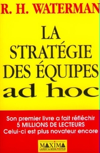 LA STRATEGIES DES EQUIPES AD HOC