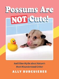 POSSUMS ARE NOT CUTE!