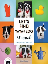 Let's Find Yaya and Boo at Home! /anglais