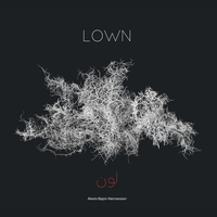 LOWN - AUDIO