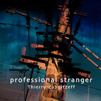 PROFESSIONAL STRANGER - AUDIO