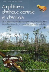 Amphibiens d’Afrique centrale et d’Angola. Clé de détermination Illustrée des Amphibiens du Gabon et