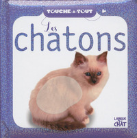 Touche-à-tout Les chatons (Fond blanc)