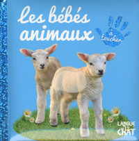 Bébé Touche-à-Tout Les bébés animaux - tome 10