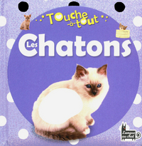 TOUCHE-A-TOUT LES CHATONS