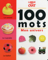 100 mots mon univers