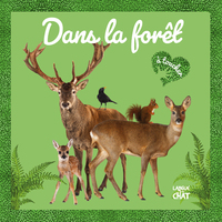 MON GRAND BEBE TOUCHE-A-TOUT - DANS LA FORET