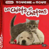 LES CHIOTS ET CHATONS - BEBE TOUCHE-A-TOUT