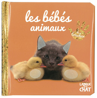 Bébé touche-à-tout - Les bébés animaux - tome 37