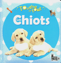 TOUCHE-A-TOUT LES CHIOTS