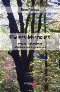 Pauses Mystiques