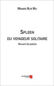 Spleen du voyageur solitaire