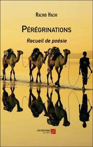 Pérégrinations