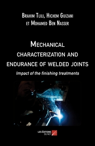 Mechanical characterization and endurance of welded joints