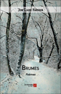Brumes