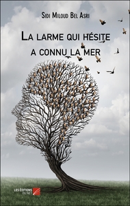 La larme qui hésite a connu la mer
