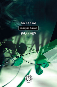 BALEINE PAYSAGE