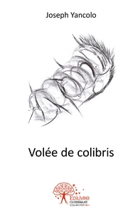 Volée de colibris