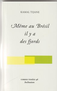 MEME AU BRESIL IL Y A DES FJORDS