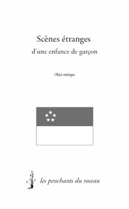 Scènes étranges d'une enfance de garçon - objet onirique