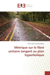 Metrique sur le fibre unitaire tangent au plan hyperbolique