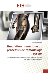 Simulation numerique du processus de remodelàge osseux