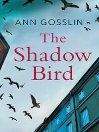 THE SHADOW BIRD