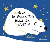 QUE SE PASSE-T-IL DANS LA NUIT ?