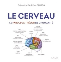 LE CERVEAU - LE FABULEUX TRESOR DE L'HUMANITE