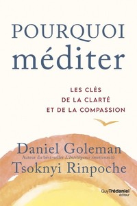 POURQUOI MEDITER - LES CLES DE LA CLARTE ET DE LA COMPASSION