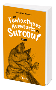 LES FANTASTIQUES AVENTURES DE SURCOUF