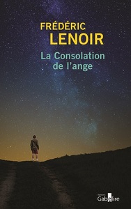 LA CONSOLATION DE L'ANGE