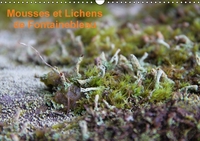 MOUSSES ET LICHENS DE