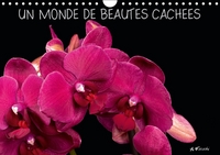 UN MONDE DE BEAUTES CACHEES CALENDRIER MURAL 2016 DIN A4 HORIZONTAL