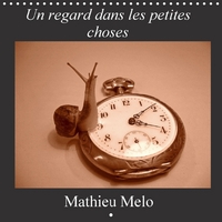 UN REGARD DANS LES PE