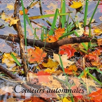COULEURS AUTOMNALES