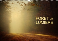 FORET DE LUMIERE CALENDRIER MURAL 2016 DIN A3 HORIZONTAL