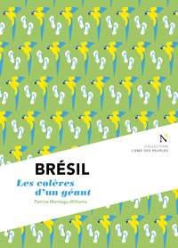 BRESIL - LES COLERES D'UN GEANT