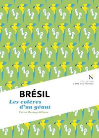 BRESIL - LES COLERES D'UN GEANT