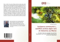 Juniperus communis L., conifere arctico-alpin rare et meconnu au Maroc
