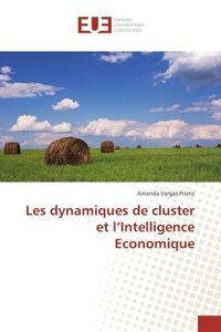 Les dynamiques de cluster et l'Intelligence economique