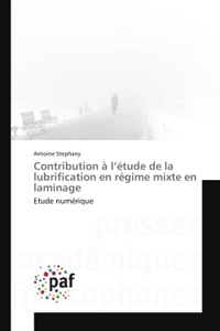 Contribution à l'étude de la lubrification en régime mixte en laminage