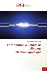 Contribution à l'étude de blindage électromagnétique