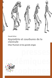 Asymétrie et courbures de la clavicule