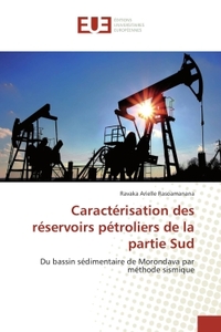 Caracterisation des reservoirs petroliers de la partie Sud