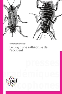 Le bug : une esthétique de l'accident
